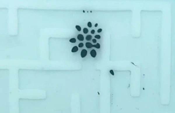 &#24320;&#20113;